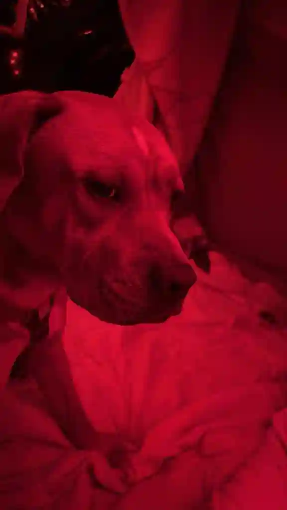 We are looking for a room