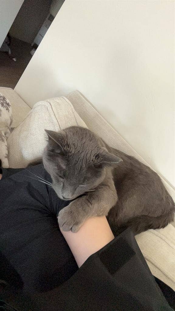 Female only sublease