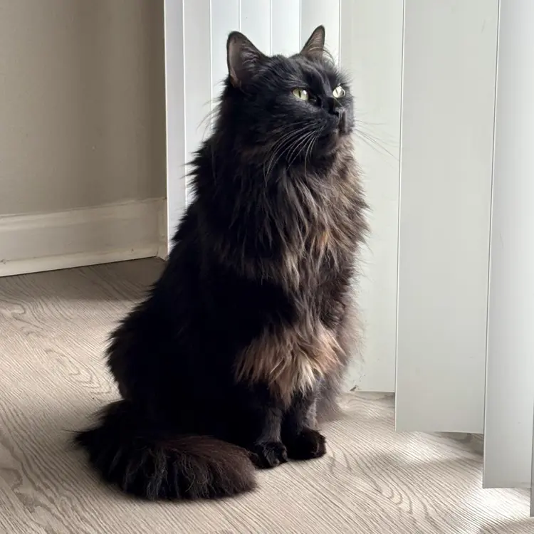 Seeking Private Room