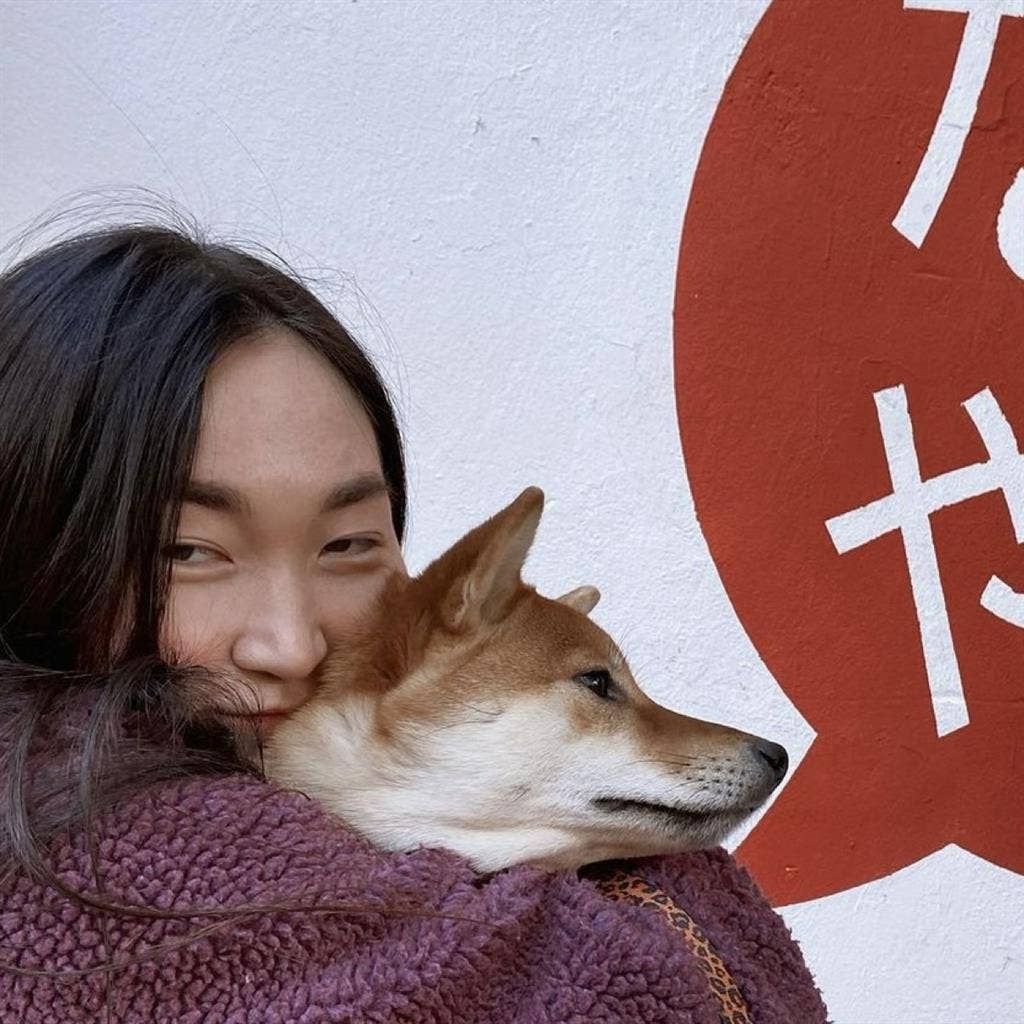 Roomie w/ calm Shiba Inu