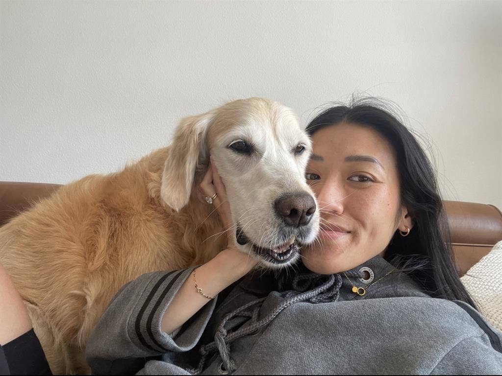 Responsible professional (2 dogs)