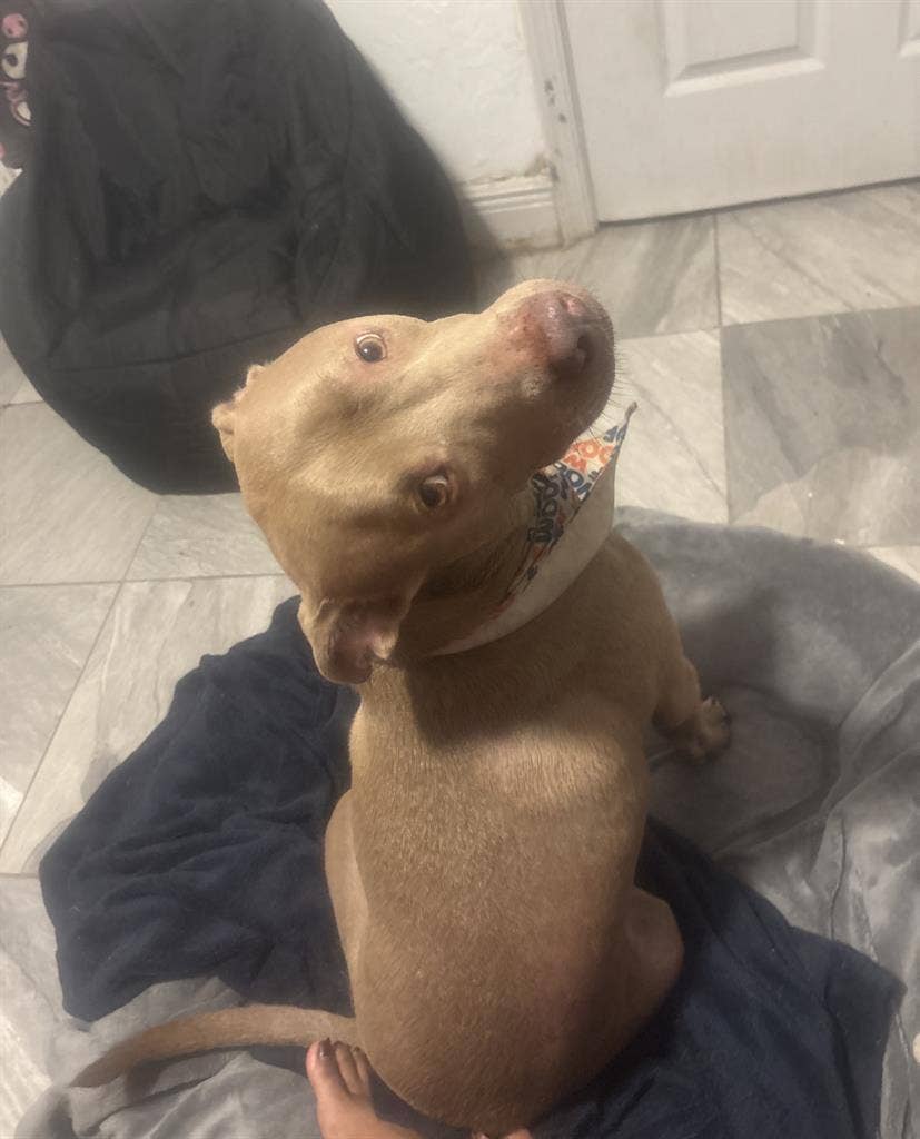 Looking for a roommate