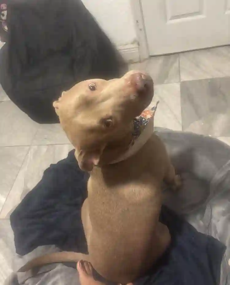 Looking for a roommate