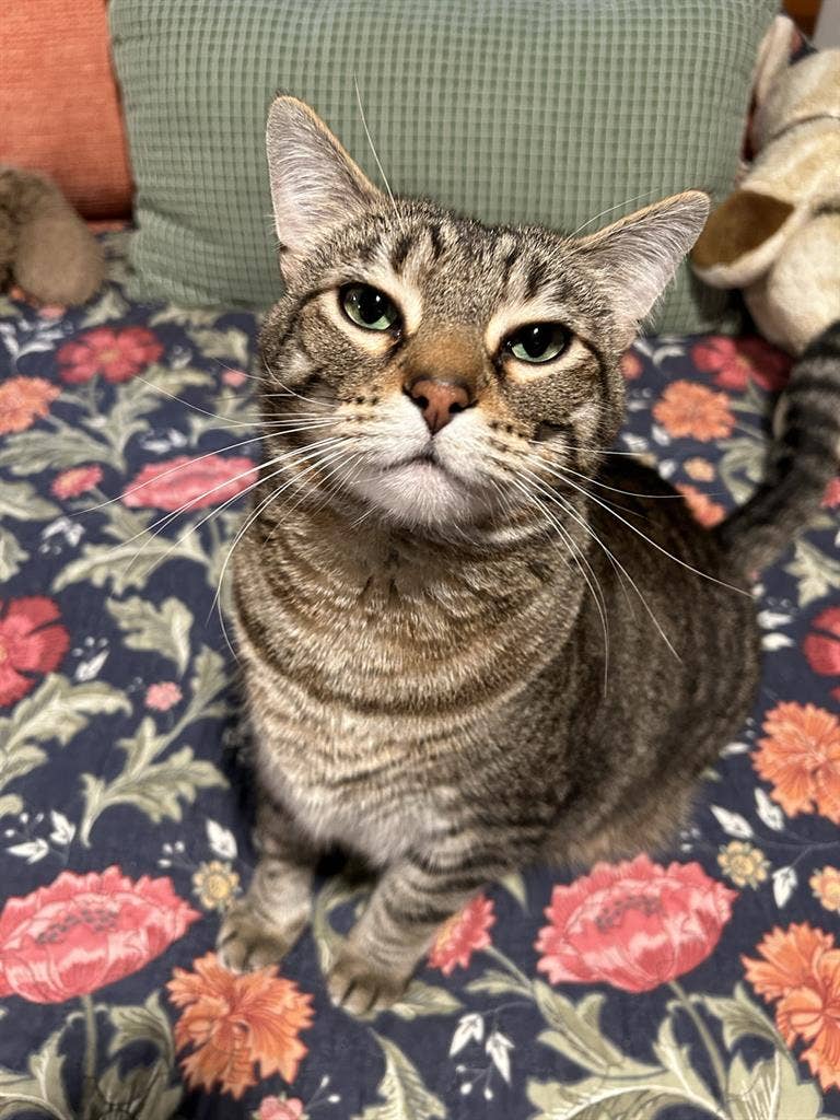 Looking to split a house!