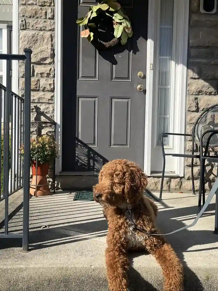 Beautiful Private Entry
1-Bdrm Apt.