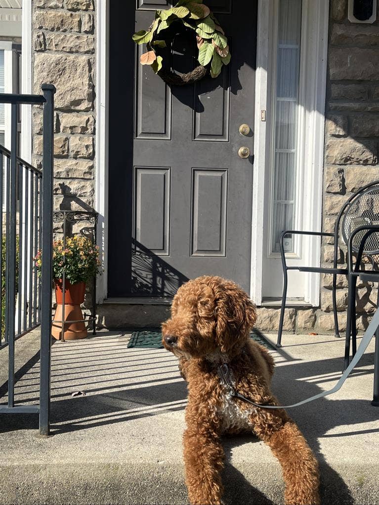 Beautiful private entry 1-Bdrm Apt.