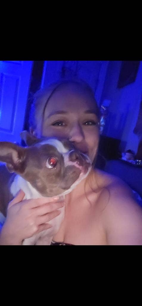 Needing a pet-friendly room.