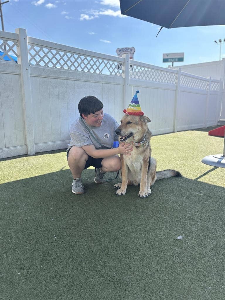 Looking to find a roomate/room!