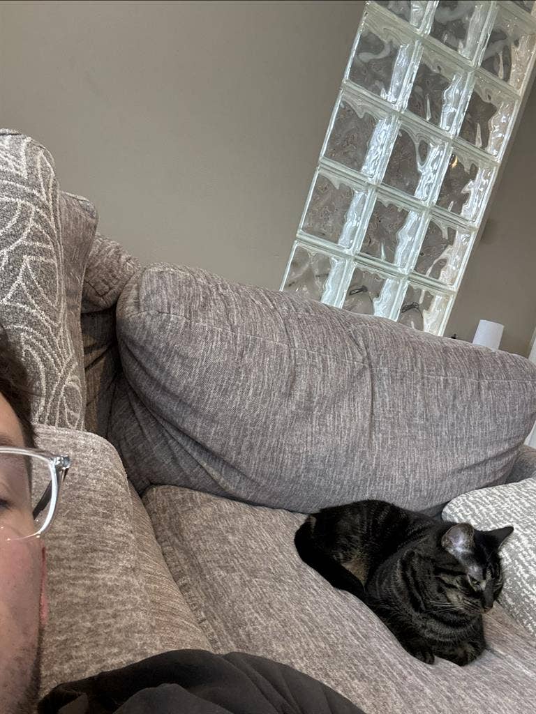 Looking for room/sublet