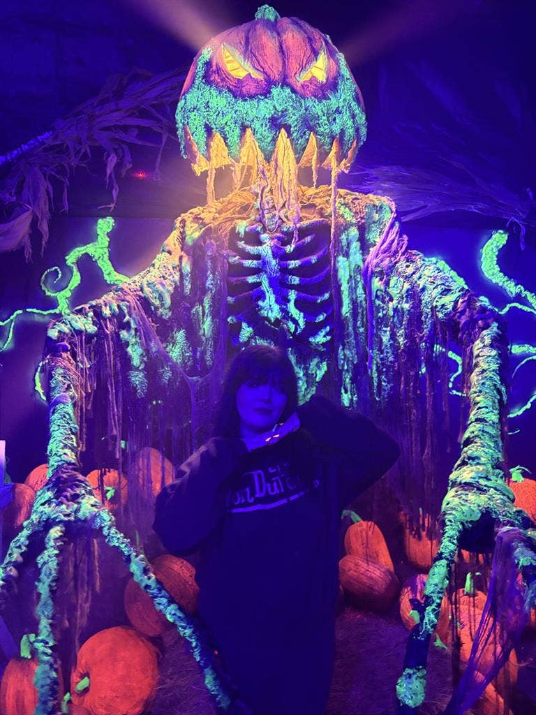 Looking for a roommate!