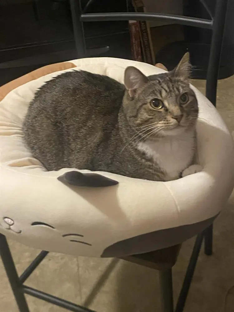 Moving to jersey in June