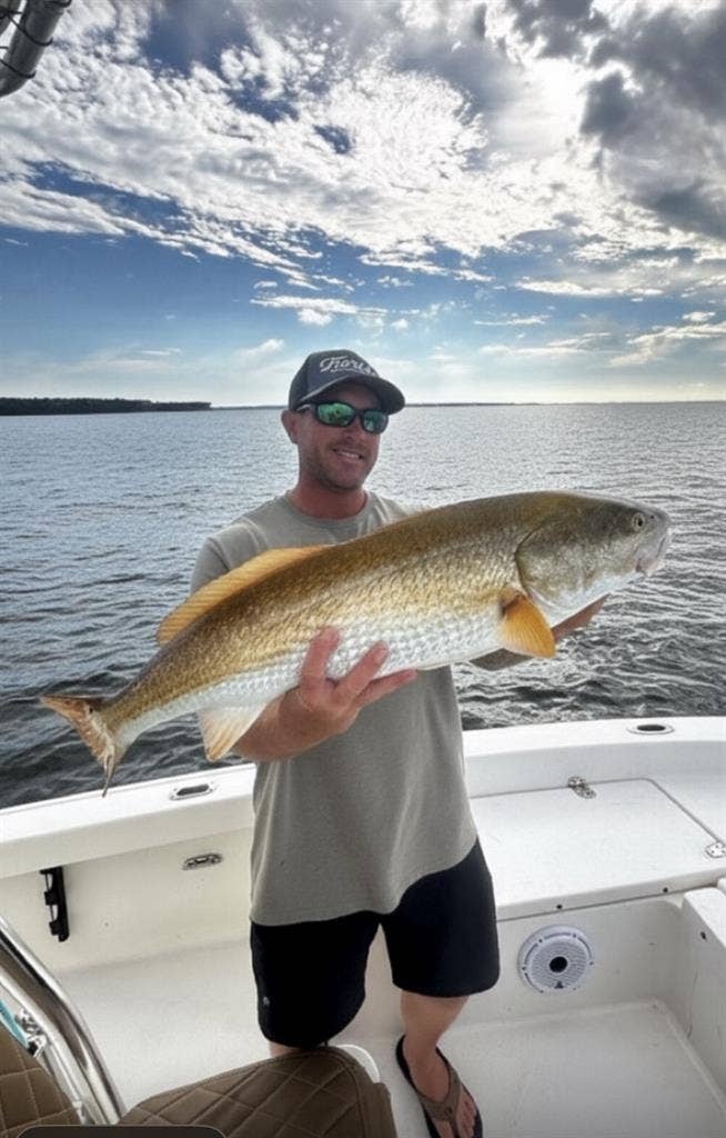 Looking for a room to rent