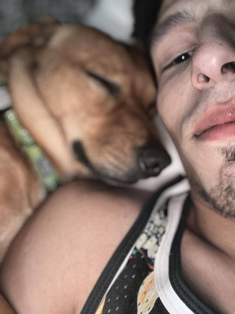 Working couple and 1 small dog