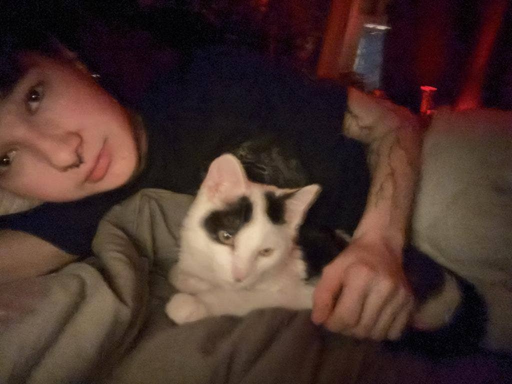 Quiet 19yo Looking for Room to rent