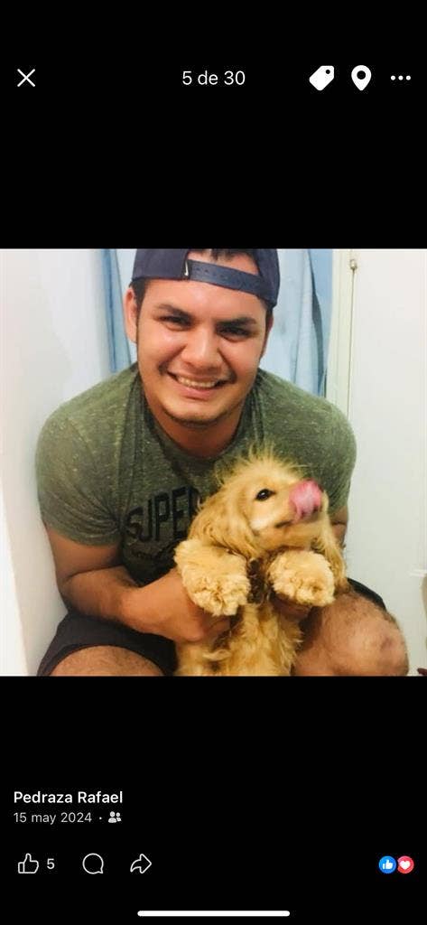PET friendly