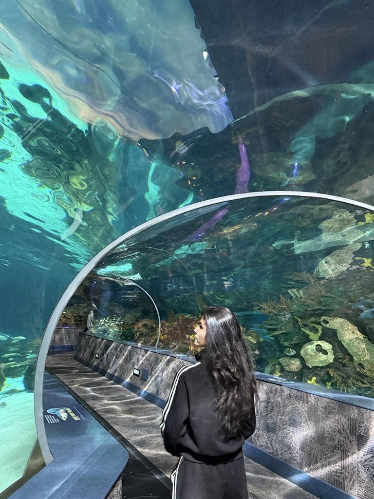 Looking for a room to share