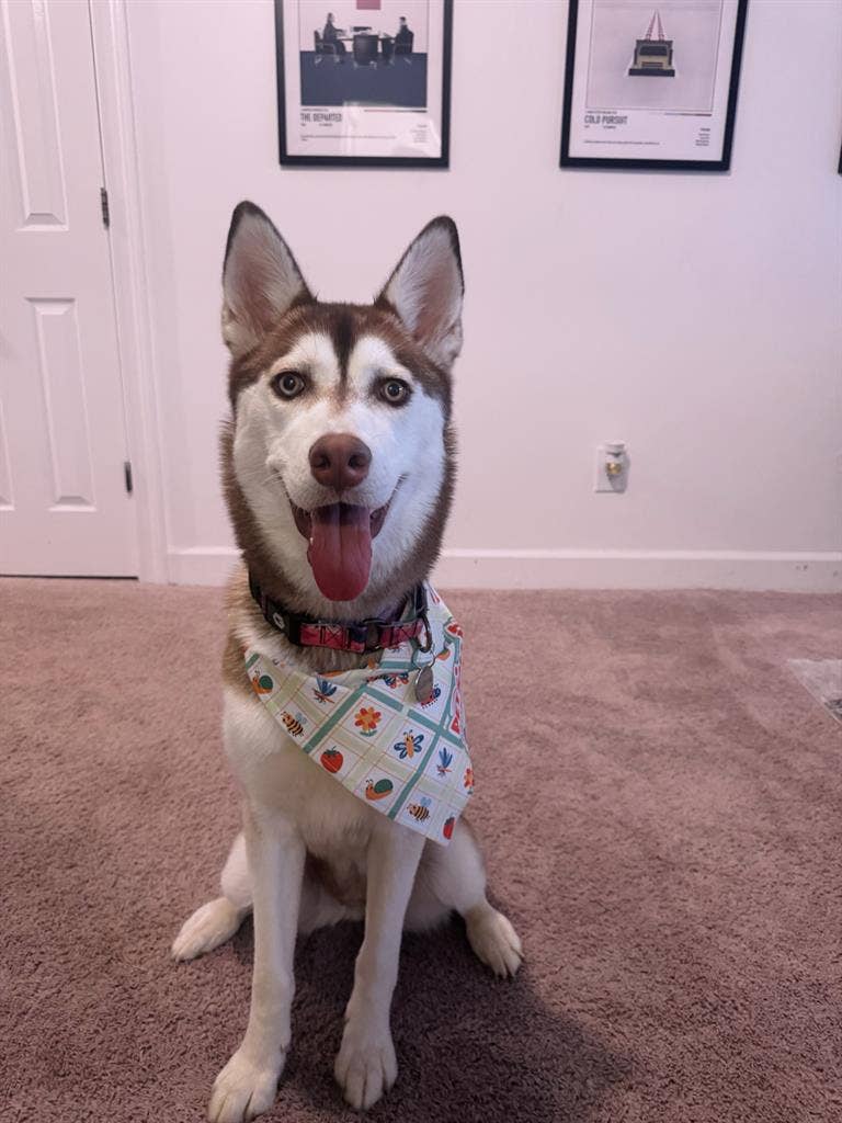 need roommates!