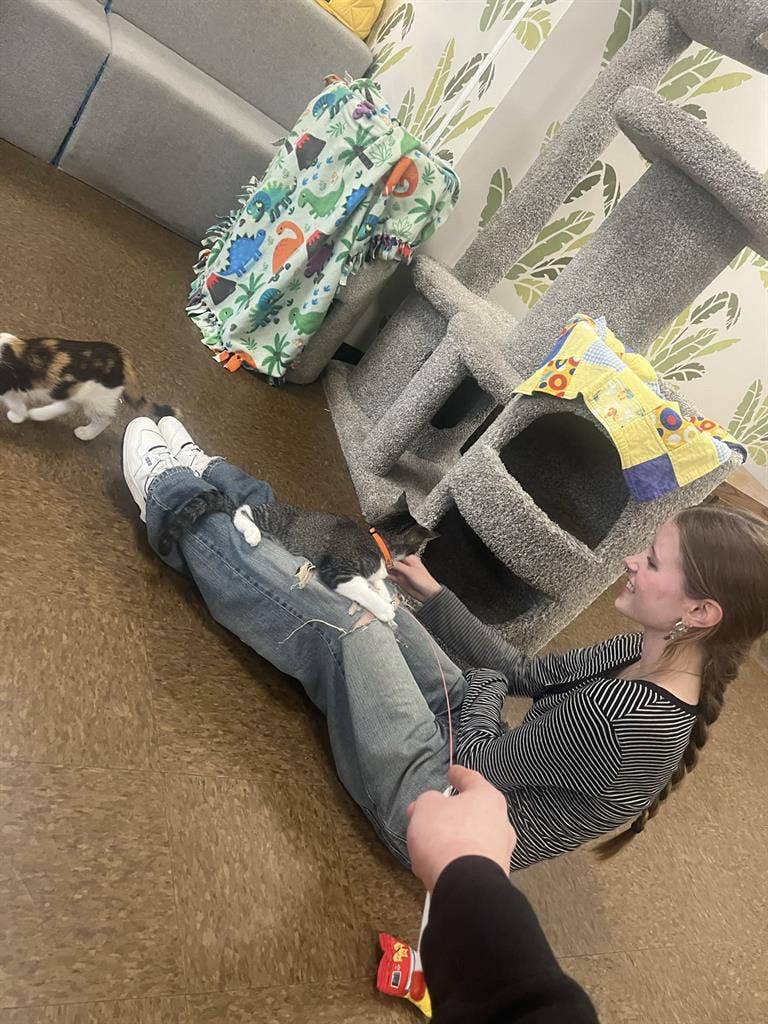 Female Roommate (18)