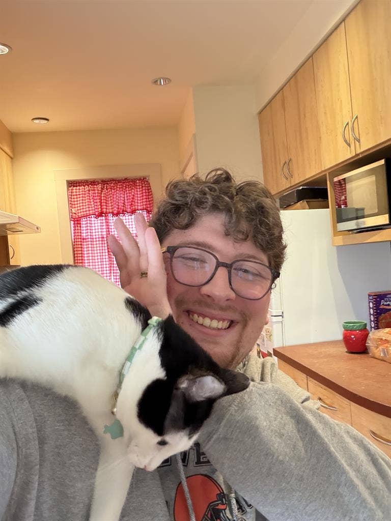 PhD looking for cat friendly homes