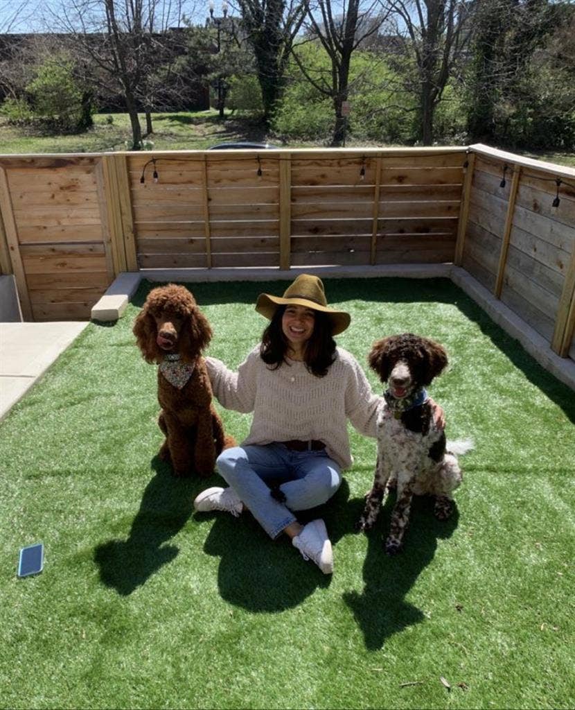 Home hunting for me and 2 poodles
