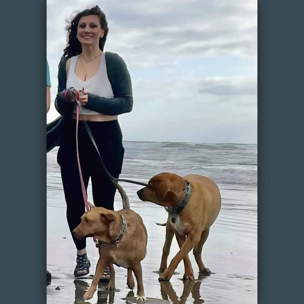 Looking for Dog-Friendly Room