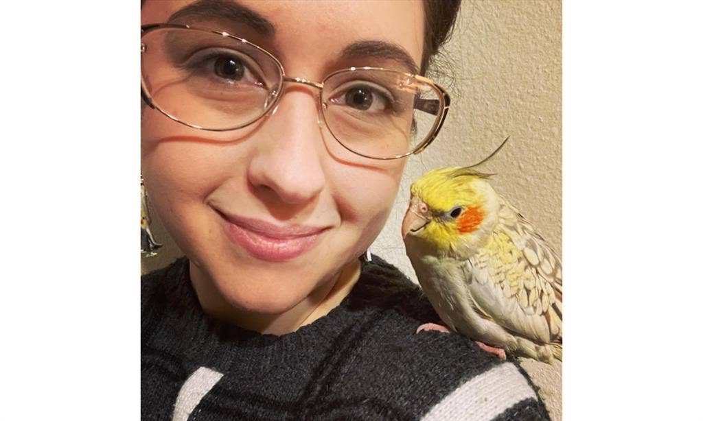 Looking for a Roommate
