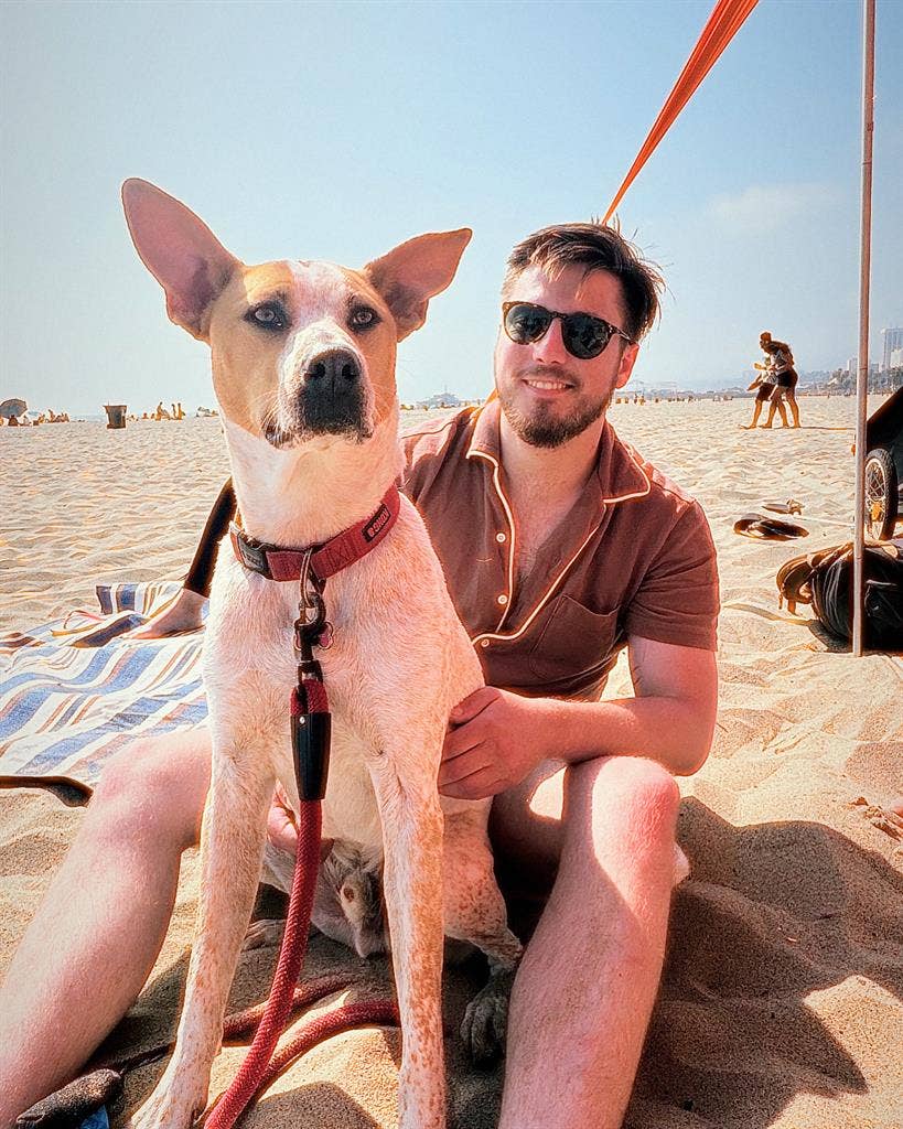 Looking for a room with my dog