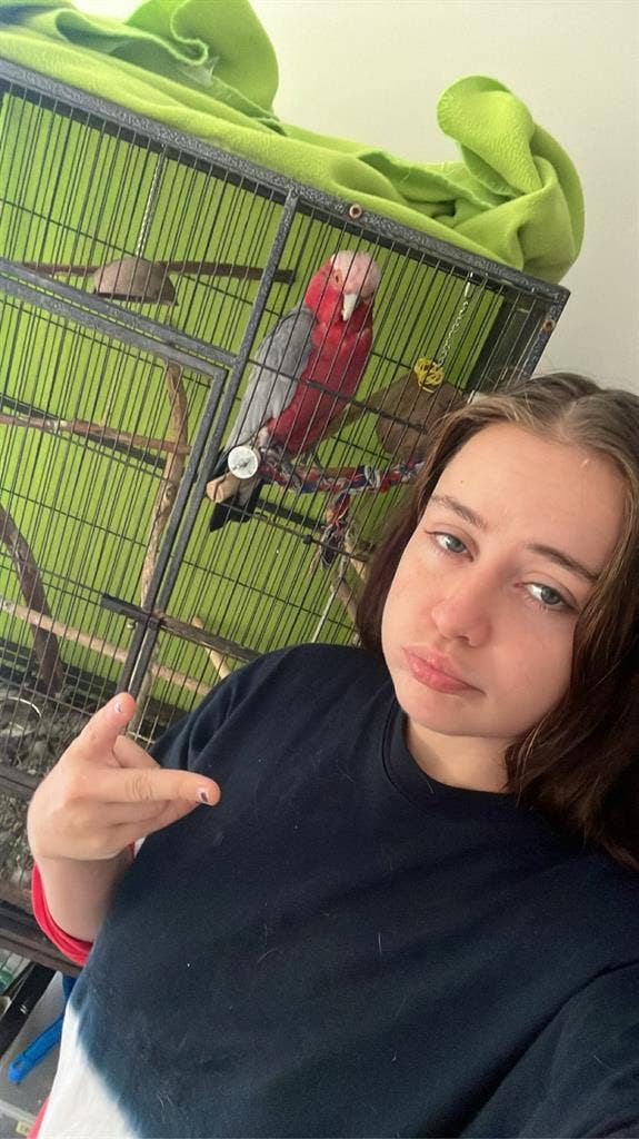 24 year old female looking for home
