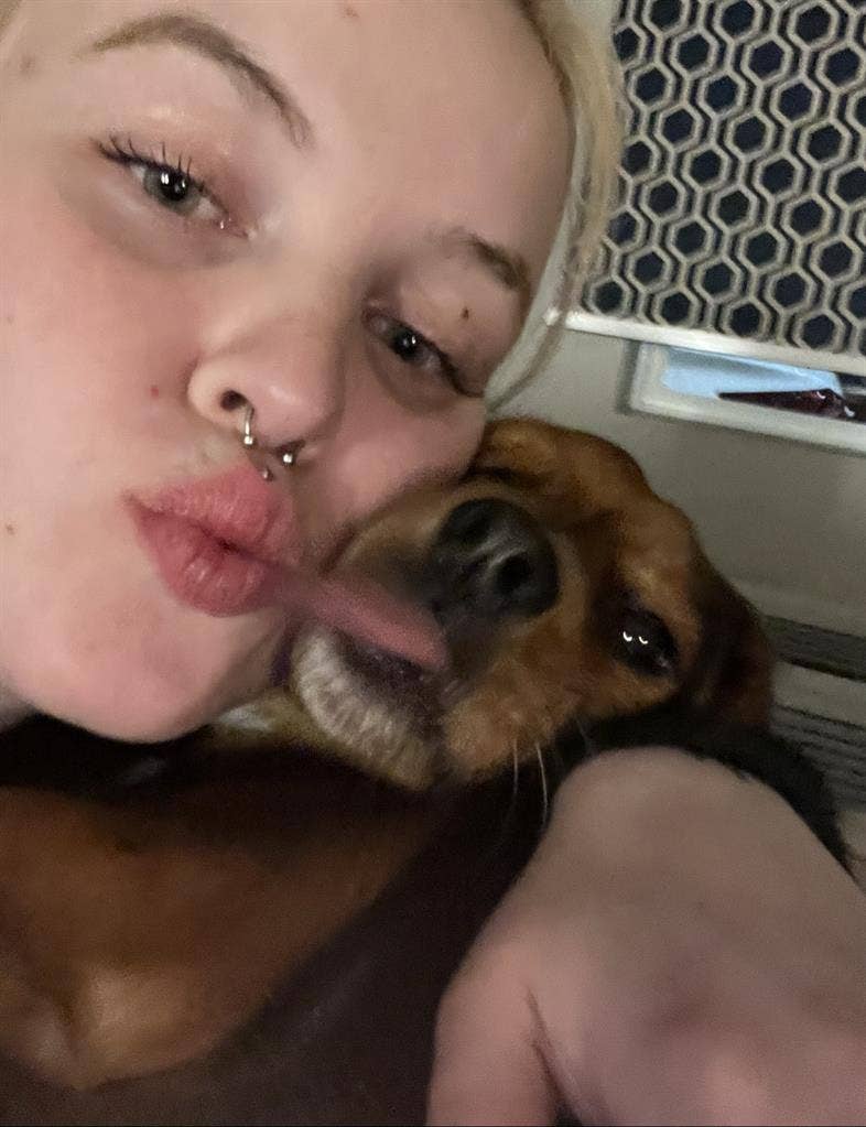 tenant+quiet dog looking for room