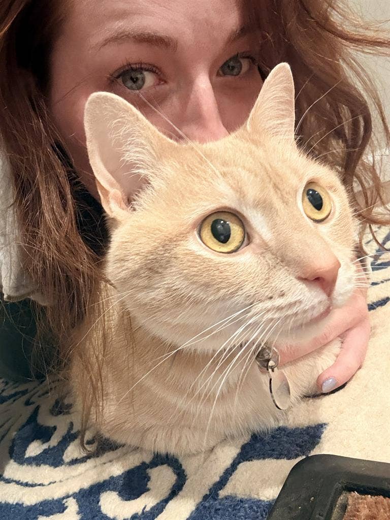 ISO Housing for 29 yo woman & cat