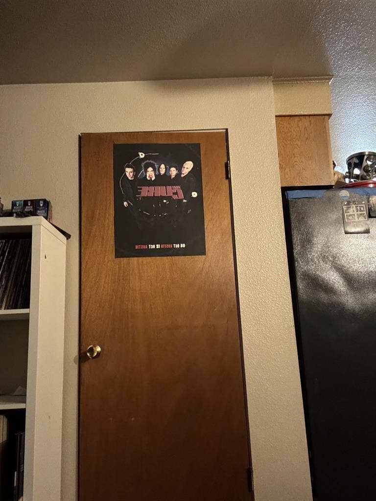 I’m Clean and friendly and cook!