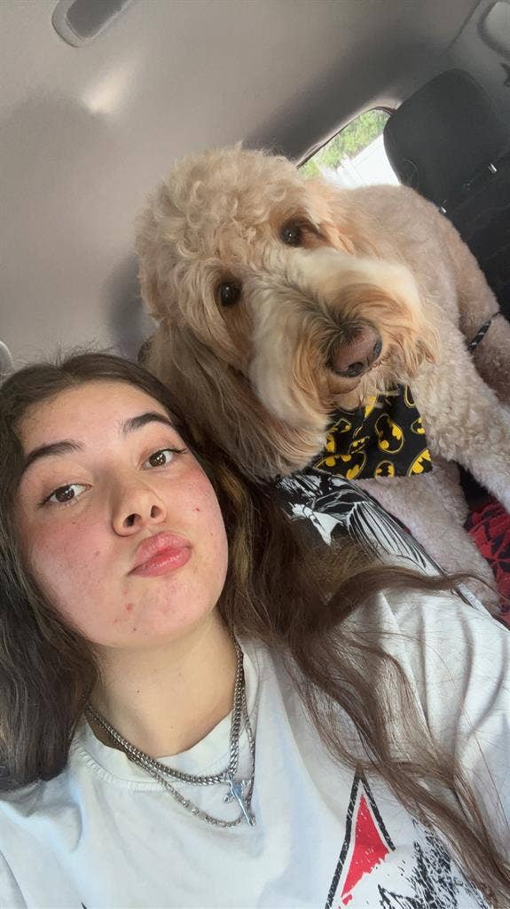 I need a room for me and my dog