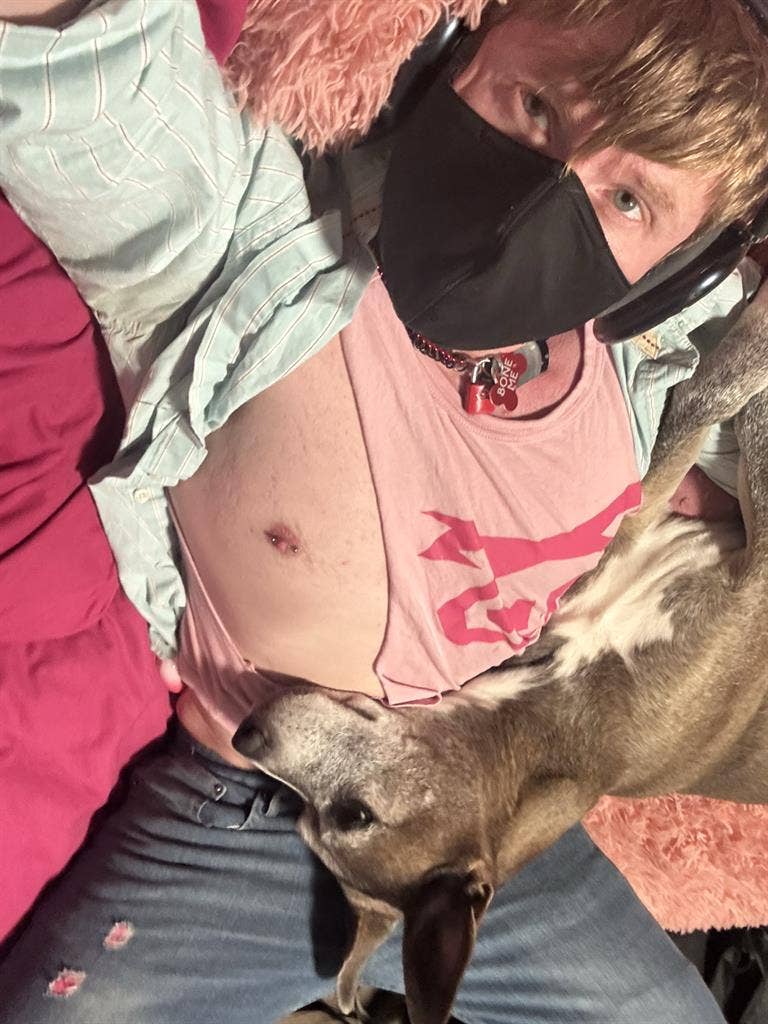 1 vet/service animal looking 4 pad