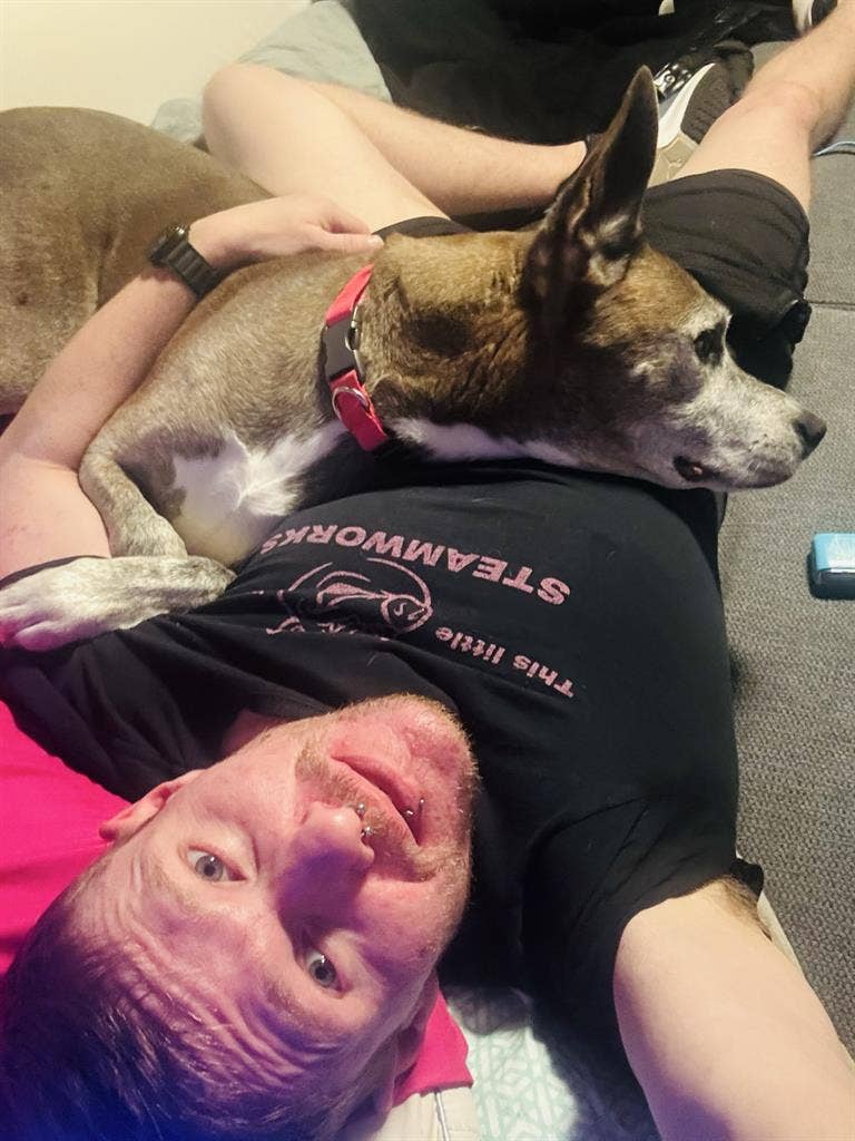 1 vet/service animal looking 4 pad