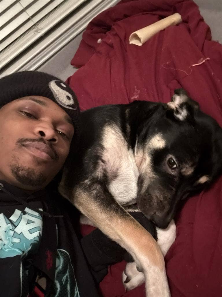 Roommates that’s cool with dogs