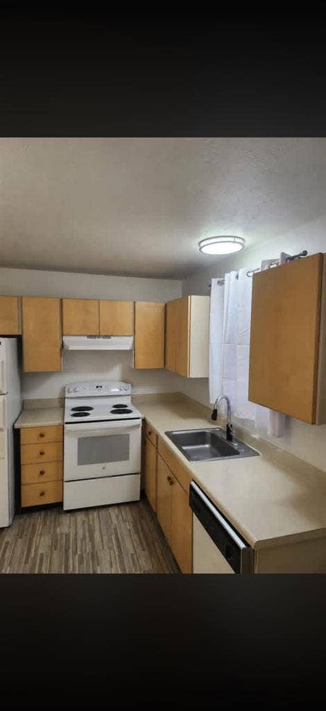 Looking for queer-friendly roommate