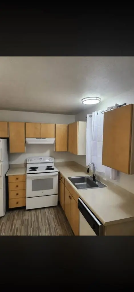 Looking for queer-friendly roommate