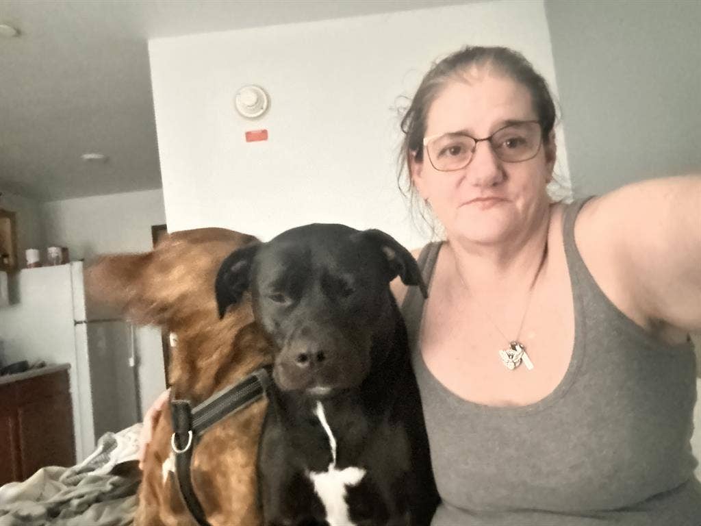 Looking for a room or place to rent