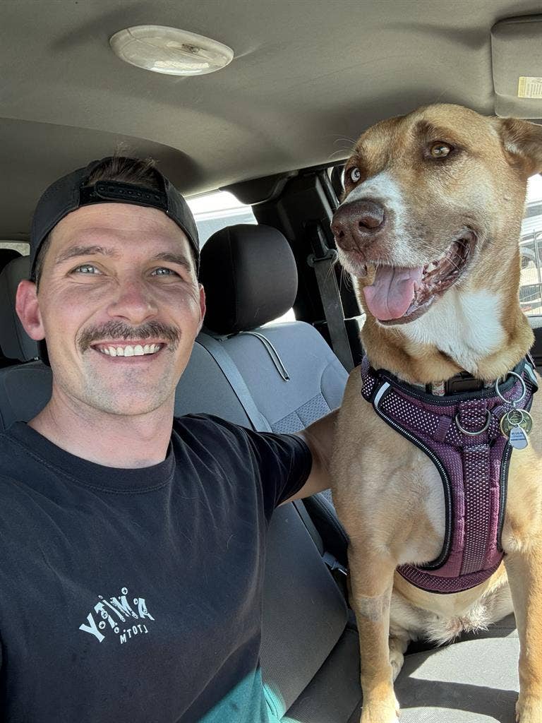 Great guy and good dog roommate