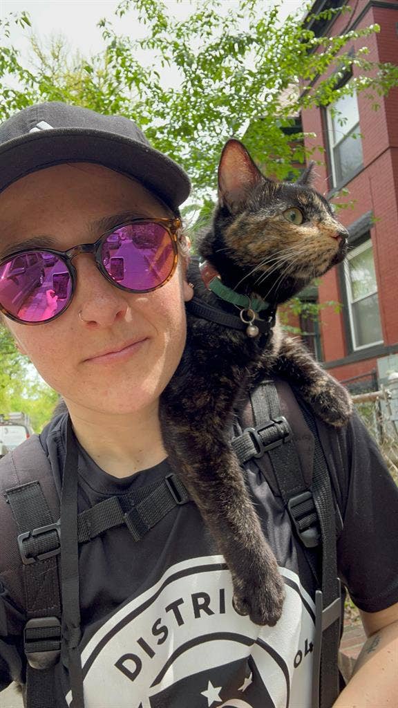 Seeking to rent w/ ESA kitty