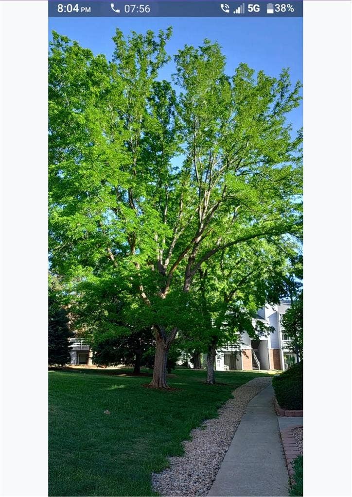 New Listing