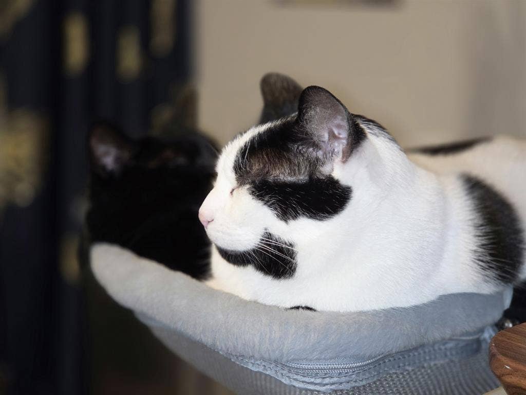 Friendly, Clean, & Responsible