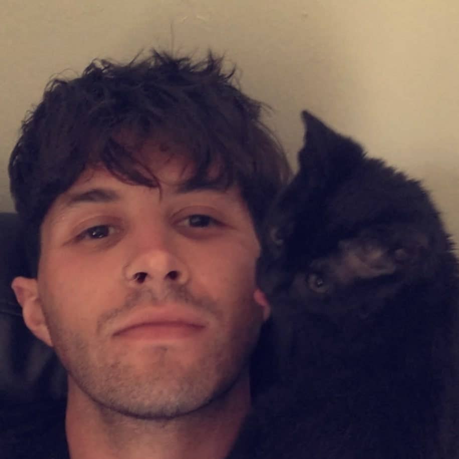 Cat Friendly Professional
