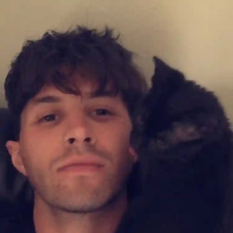 Cat Friendly Professional