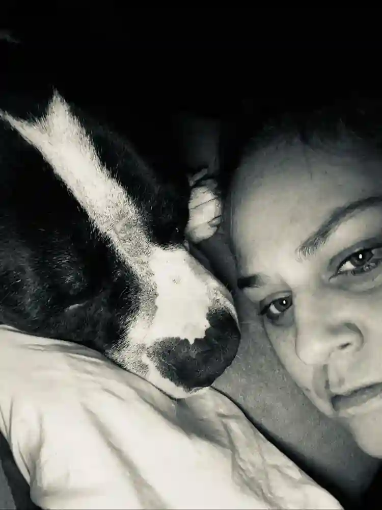 Need Affordable Dog friendly home
