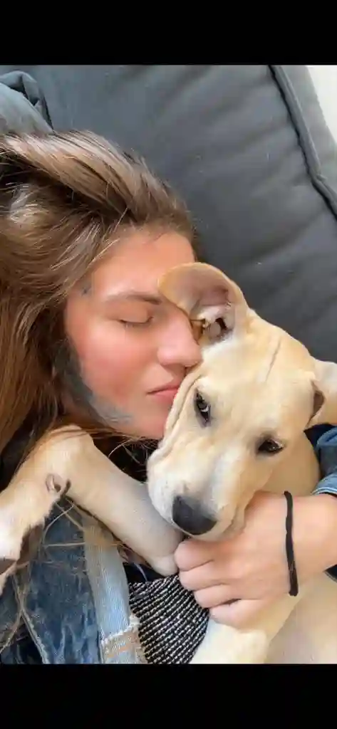 Quiet guest