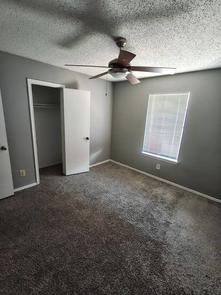Roommate wanted