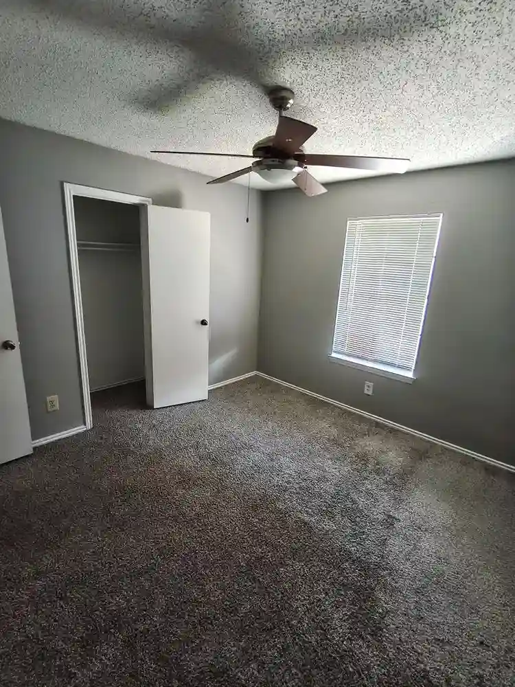 Roommate wanted