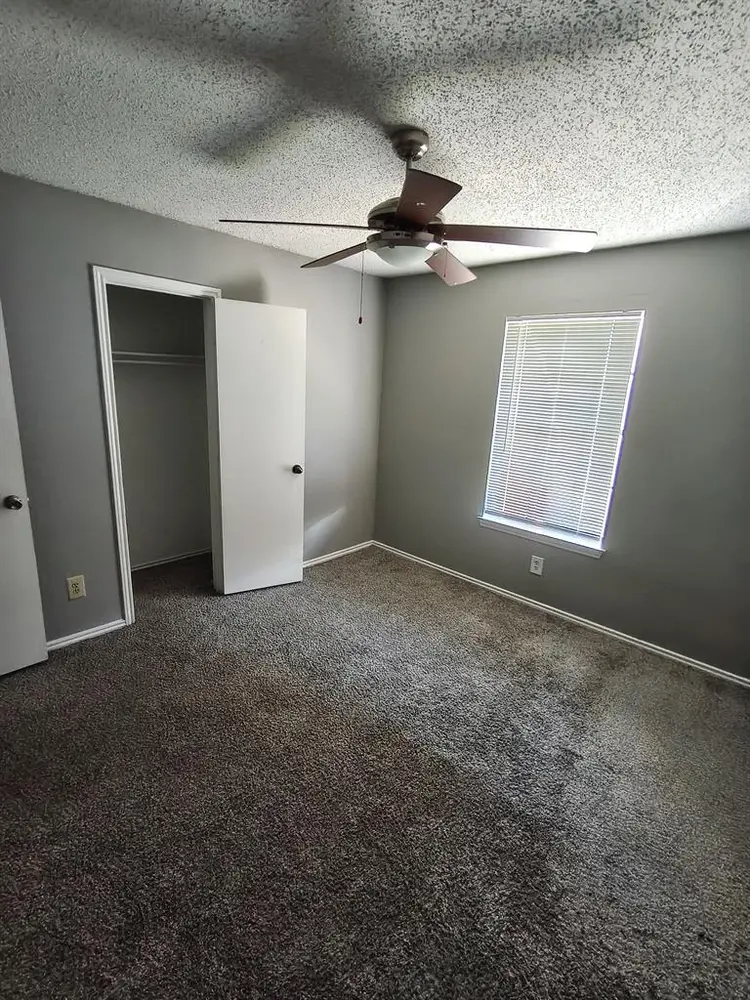 Roommate wanted