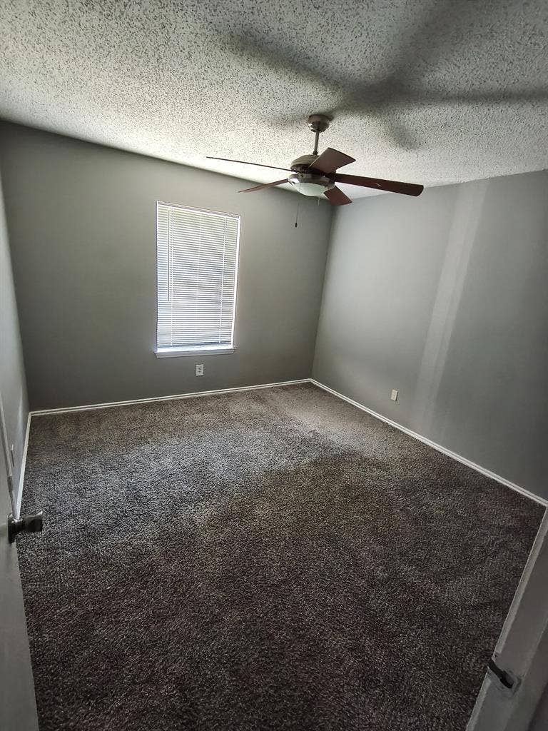 Roommate wanted